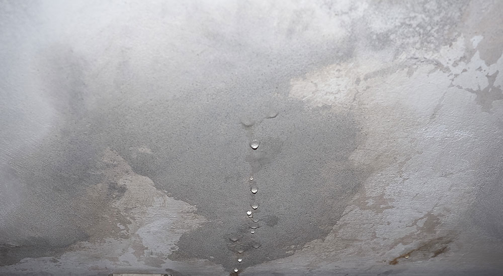 dampness moisture ceiling with drops water infiltration