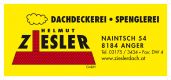 Logo Ziesler GmbH