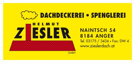 Logo Helmut Ziesler GmbH